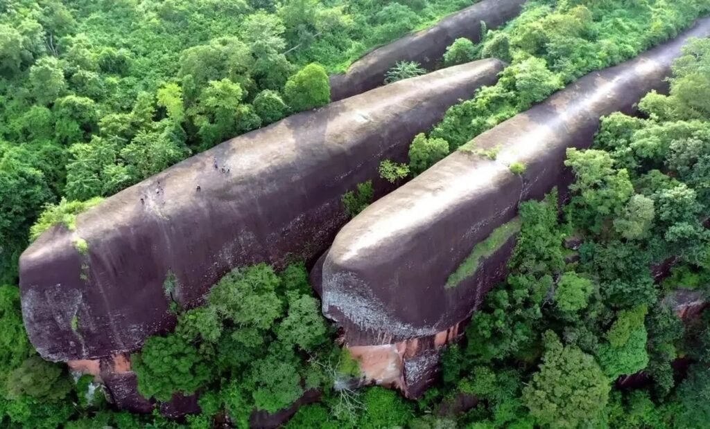 “Familja e Balenave” prej guri: Mrekullia 75 milionë-vjeçare që “noton” mbi xhunglën e Tajlandës - Familja Balenave prejguriMrekullia75milionë-vjeçareqënotonmbixhunglëneTajlandës