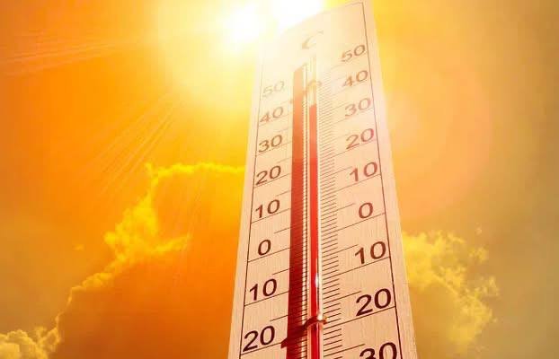 Valë ekstreme e të nxehtit përfshin Gjermaninë dhe Europën - Valë ekstreme tënxehtitpërfshinGjermaninëdheEuropën